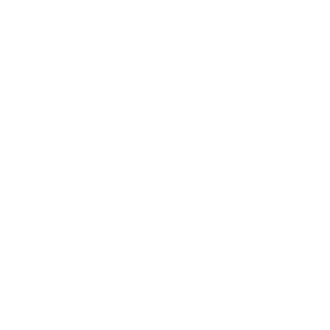 10-GORE-Ica