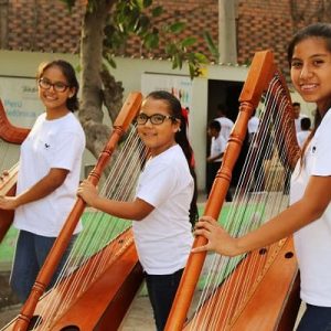 Arpa andina - Rímac (1)
